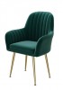 Aleece Velvet Arm Chair 